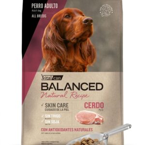 A GRANEL Vital Can Balanced de CERDO