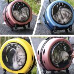 Transportador - Valija con Ruedas para Mascotas