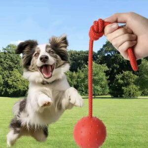 Pelota de Goma para Perro con Soga - Juguete para Lanzar y Morder