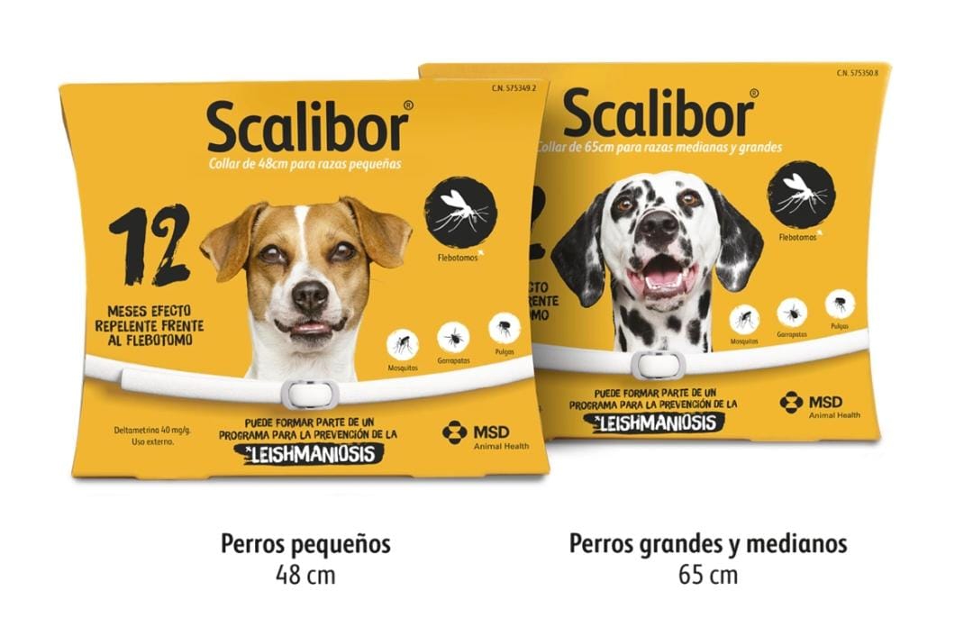 SCALIBOR