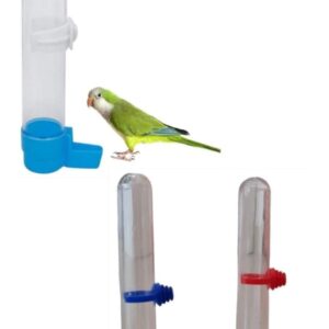 Bebedero Automático para Aves con Dispensador de Agua