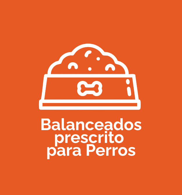 Prescriptos Perros