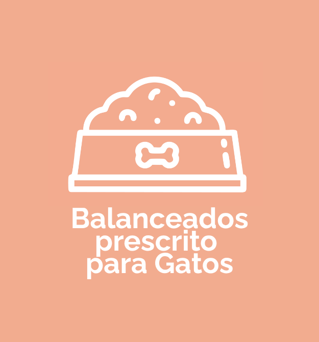 Prescriptos Gatos