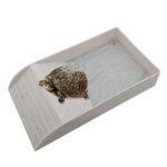 tortugas y reptiles prueba